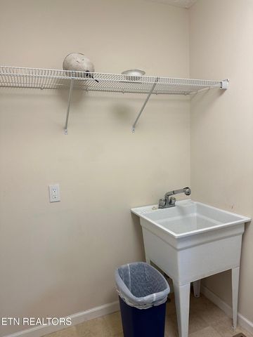 507 New Clear Branch Rd, Rocky Top, TN 37769