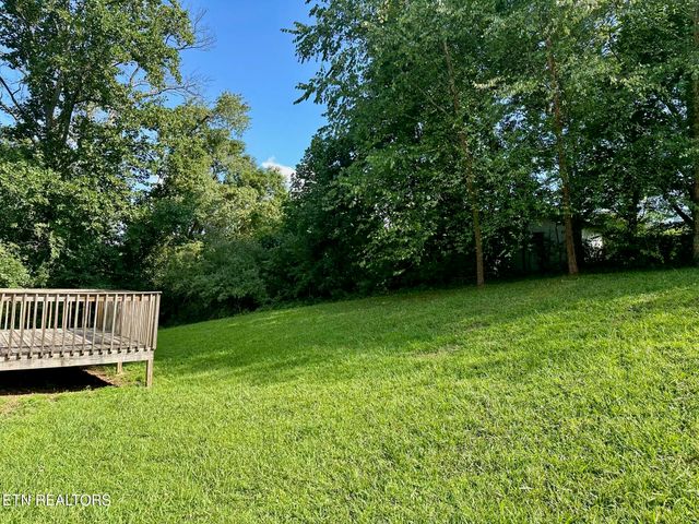 507 New Clear Branch Rd, Rocky Top, TN 37769
