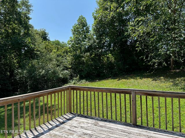 507 New Clear Branch Rd, Rocky Top, TN 37769