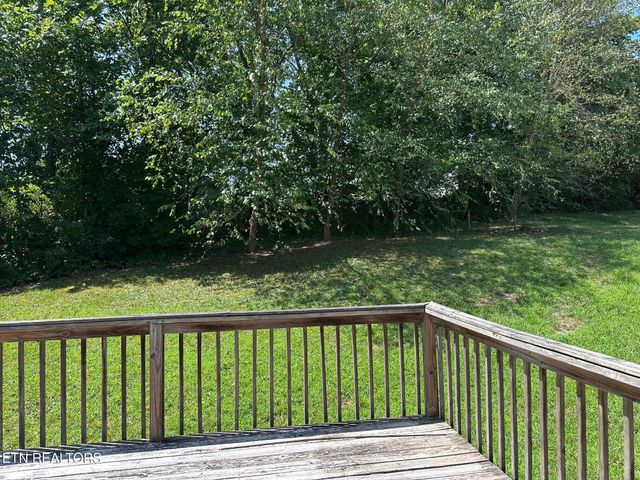 507 New Clear Branch Rd, Rocky Top, TN 37769