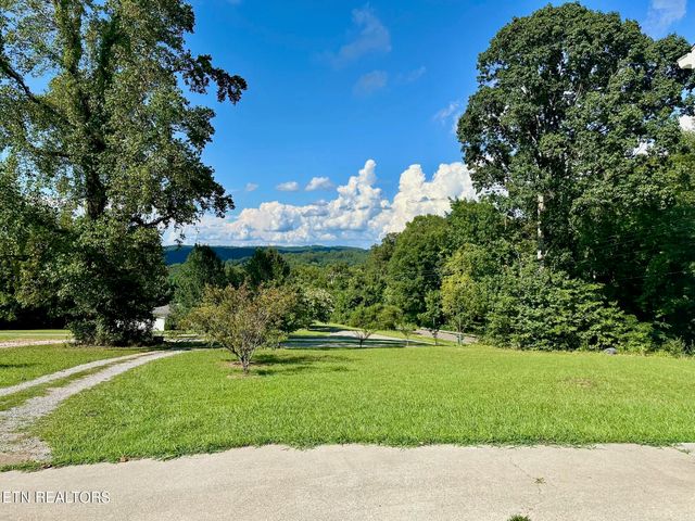 507 New Clear Branch Rd, Rocky Top, TN 37769