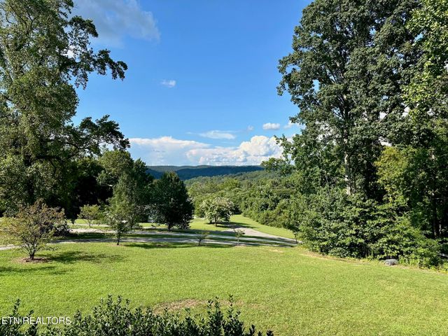 507 New Clear Branch Rd, Rocky Top, TN 37769