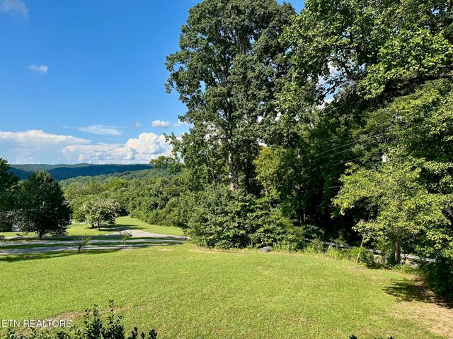 507 New Clear Branch Rd, Rocky Top, TN 37769