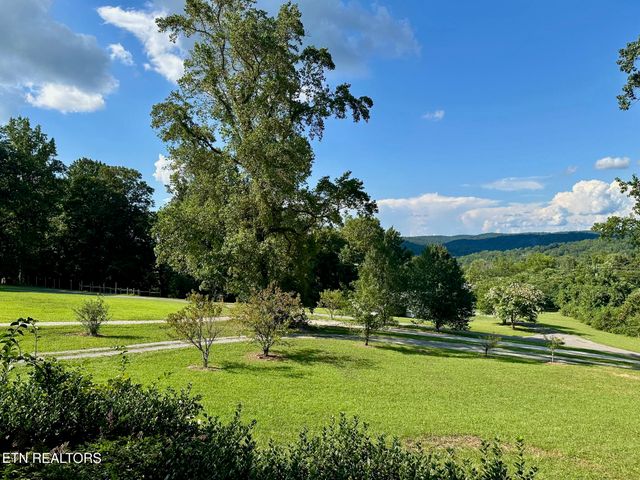 507 New Clear Branch Rd, Rocky Top, TN 37769