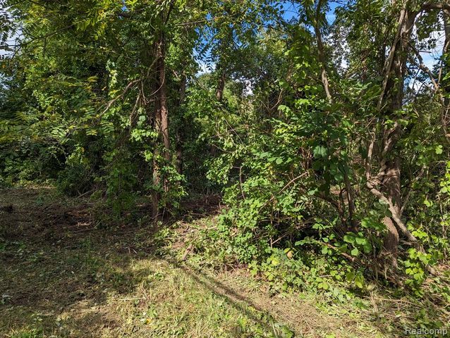2 Dawson Road, Milford, MI 48381