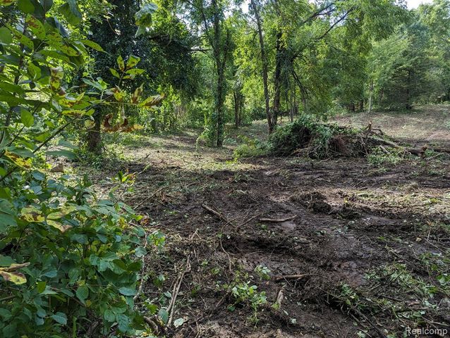 2 Dawson Road, Milford, MI 48381
