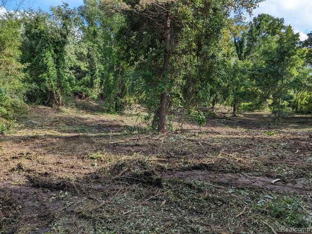 2 Dawson Road, Milford, MI 48381