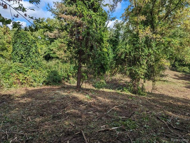 2 Dawson Road, Milford, MI 48381