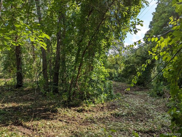 2 Dawson Road, Milford, MI 48381