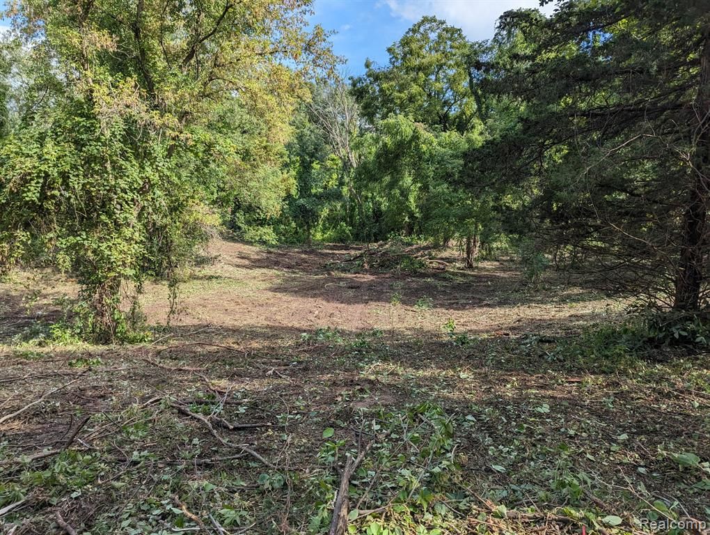 2 Dawson Road, Milford, MI 48381