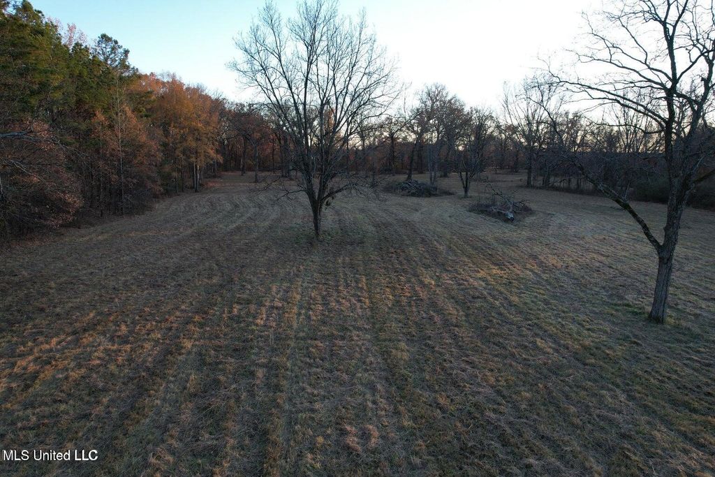 2001 W Oak Grove Road, Hernando, MS 38632 — photo 2