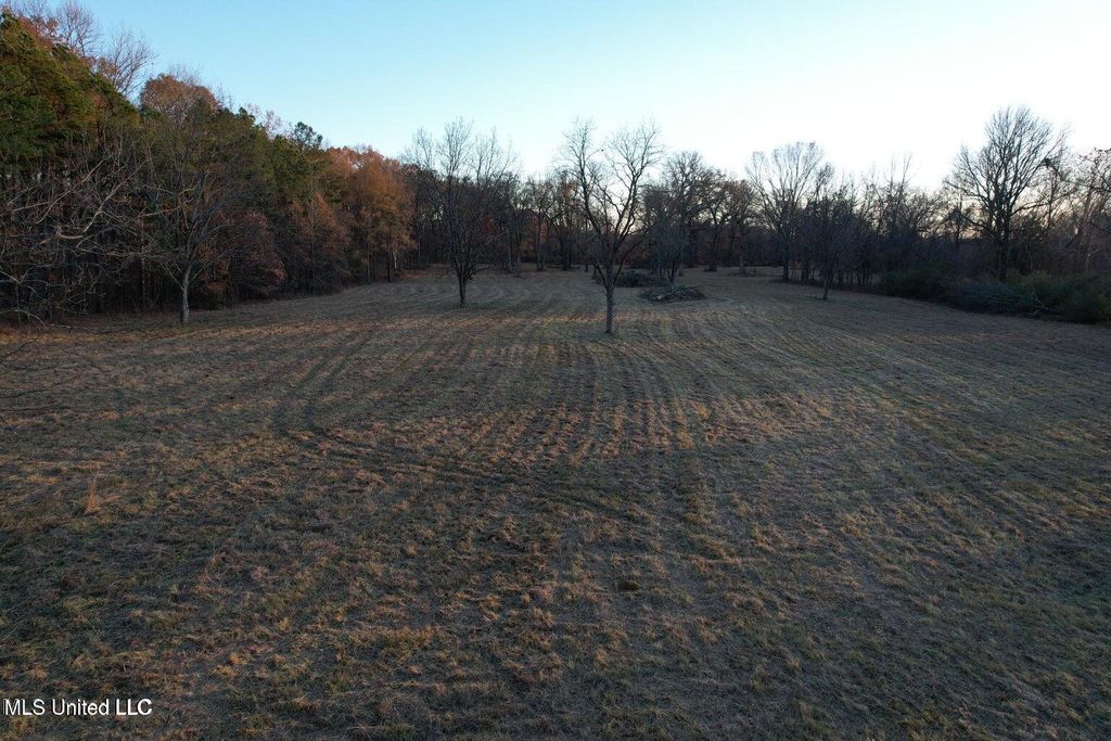 2001 W Oak Grove Road, Hernando, MS 38632 — photo 3