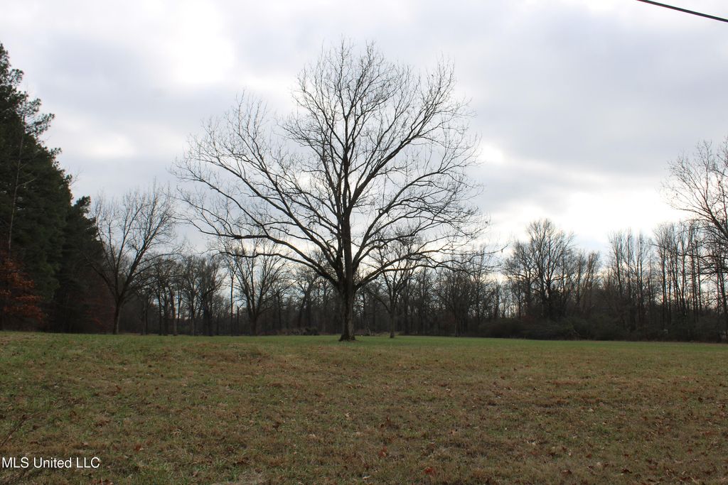 2001 W Oak Grove Road, Hernando, MS 38632 — photo 5