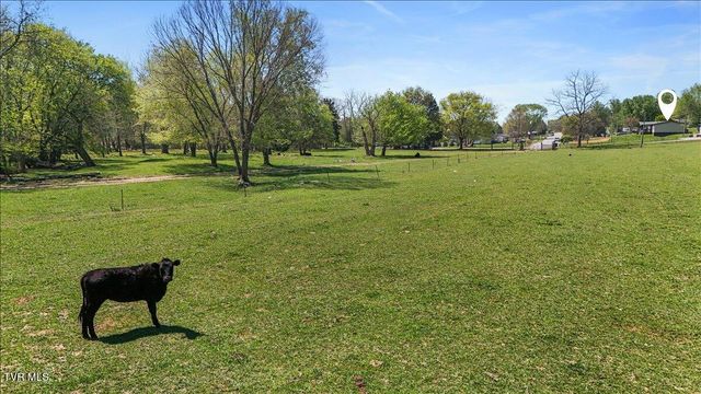 151 Chalk Level Road, Telford, TN 37690