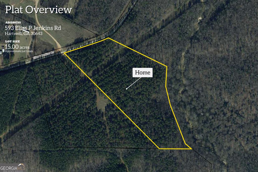 593 Elias P Jenkins Road, Hartwell, GA 30643 — photo 2