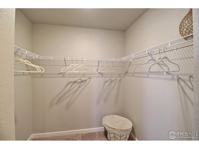 3912 Soapstone St, Evans, CO 80620