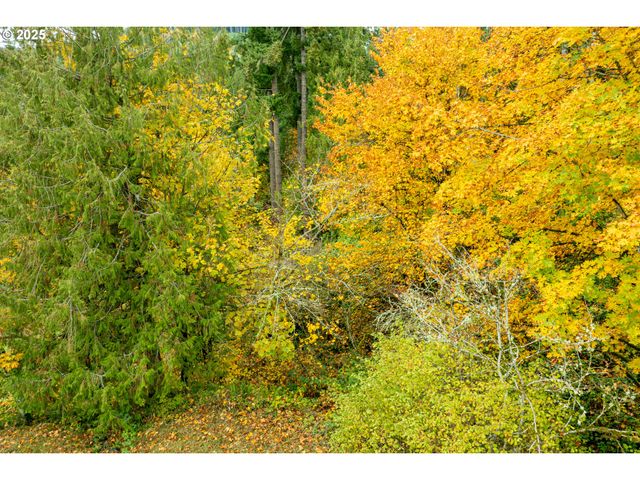 0 Glacier Ln, Woodland, WA 98674