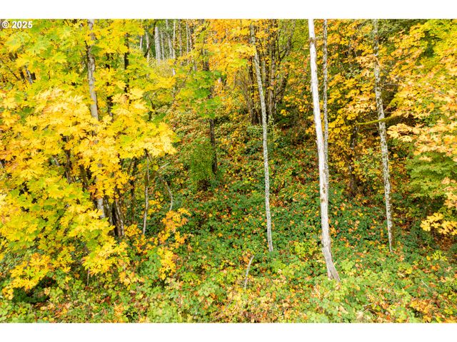 0 Glacier Ln, Woodland, WA 98674