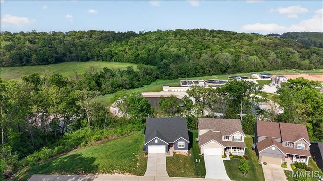 804 Cedar Bluff Way, Fenton, MO 63026