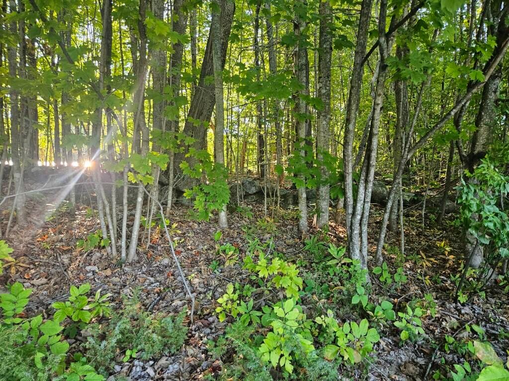 708 Webbs Mills Road, Raymond, ME 04071 — photo 5
