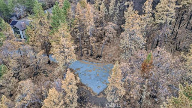 0 Logwood, Wrightwood, CA 92397