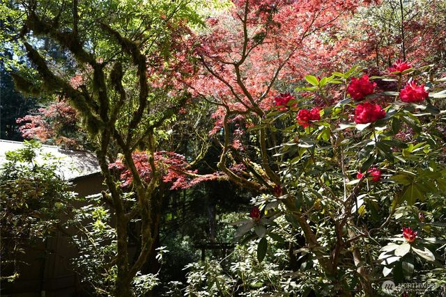 4050 Tree Frog Lane, Langley, WA 98260