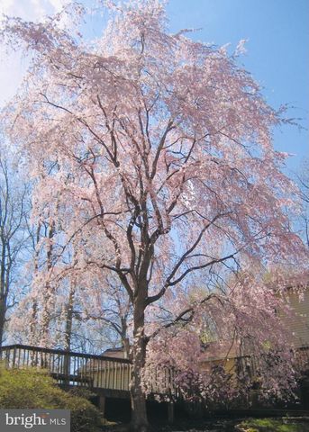 2201 NOBEHAR, Vienna, VA 22181