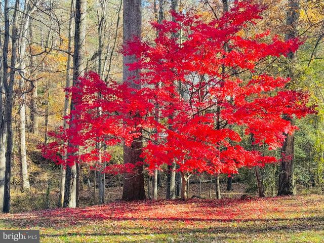 2201 NOBEHAR, Vienna, VA 22181