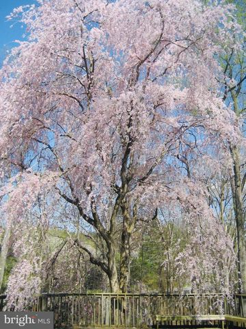 2201 NOBEHAR DR, Vienna, VA 22181