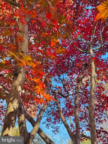 2201 NOBEHAR DR, Vienna, VA 22181