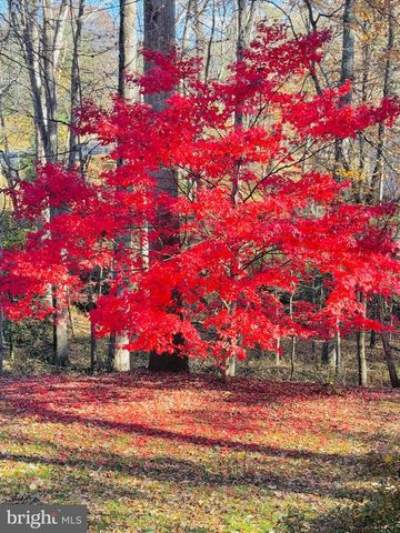 2201 NOBEHAR DR, Vienna, VA 22181