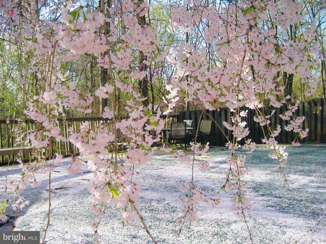 2201 NOBEHAR, Vienna, VA 22181