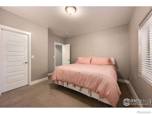 1378 Copeland Falls Road, Severance, CO 80550