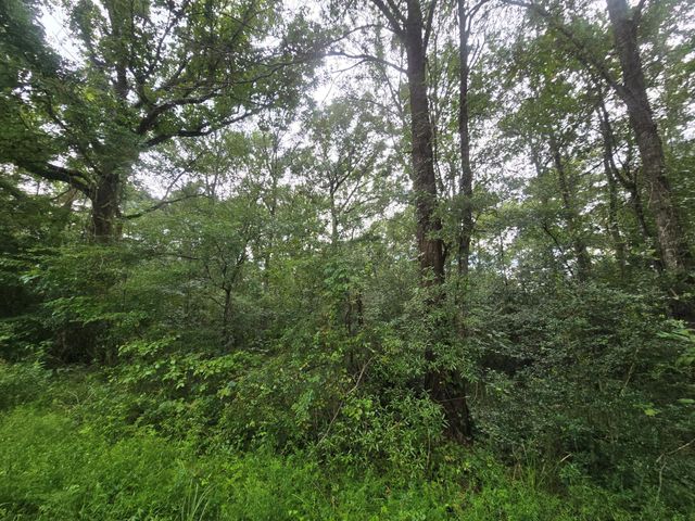 134 Road 3774, Cleveland, TX 77327