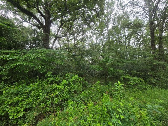 134 Road 3774, Cleveland, TX 77327