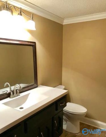 2126 Mary Jane Drive, Southside, AL 35907