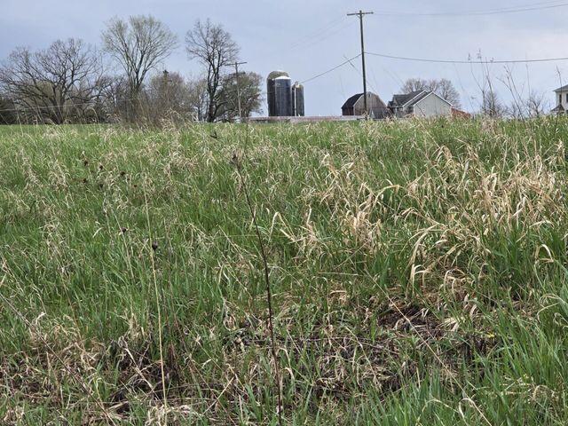 6336 Mast Road, Dexter, MI 48130