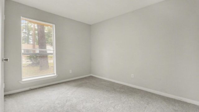 23034 Earlmist Drive, Spring, TX 77373