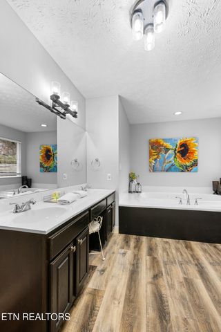 550 Sassafras Tr, Pigeon Forge, TN 37876