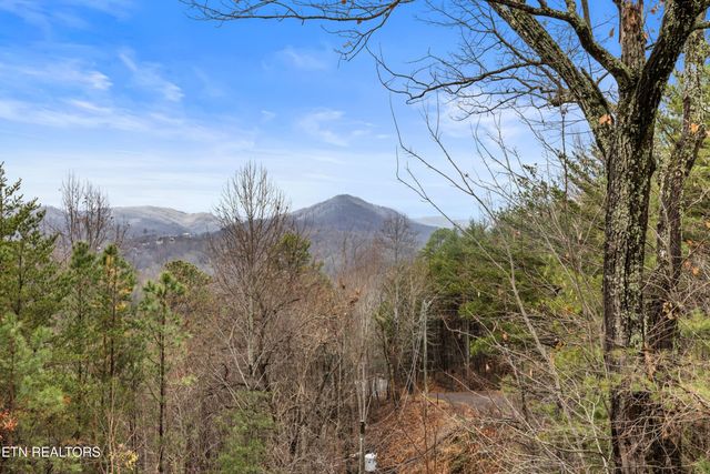 550 Sassafras Tr, Pigeon Forge, TN 37876