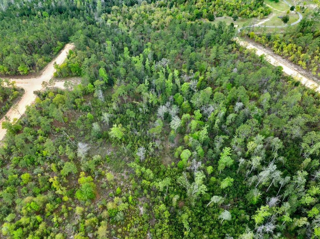 CASTLE CIRCLE, Alford, FL 32420