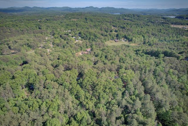 218 Bench Leg Road, Mineral Bluff, GA 30559