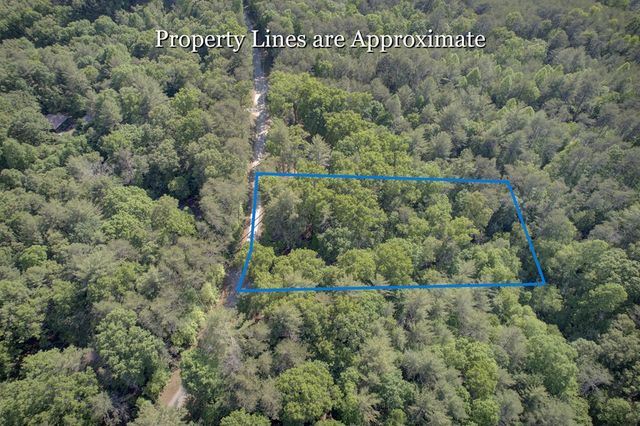 218 Bench Leg Road, Mineral Bluff, GA 30559