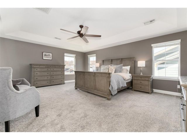 3112 Starry Night Loop, Castle Rock, CO 80109