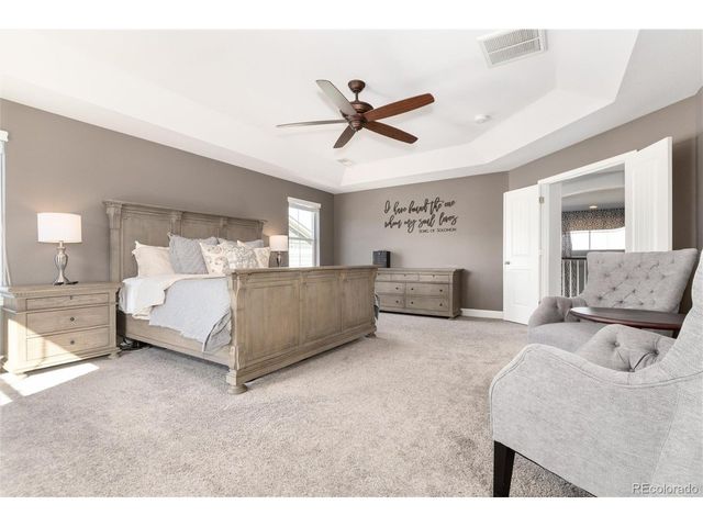 3112 Starry Night Loop, Castle Rock, CO 80109