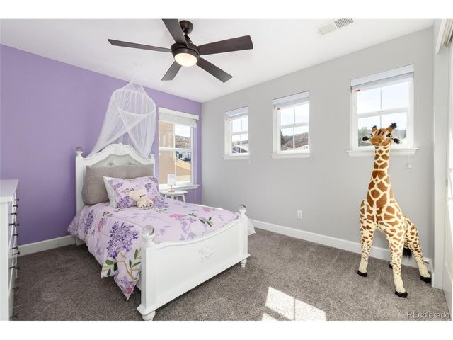 3112 Starry Night Loop, Castle Rock, CO 80109