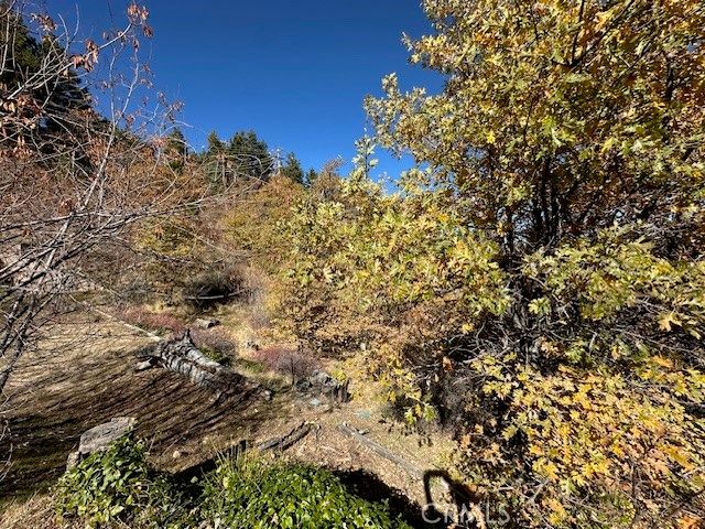 2379 Chicago Drive, Running Springs, CA 92382