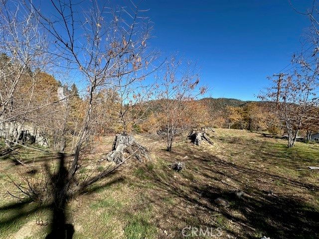 2379 Chicago Drive, Running Springs, CA 92382