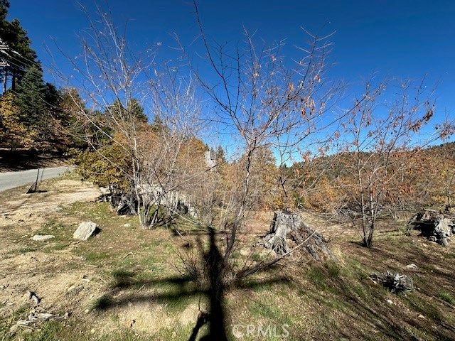 2379 Chicago Drive, Running Springs, CA 92382