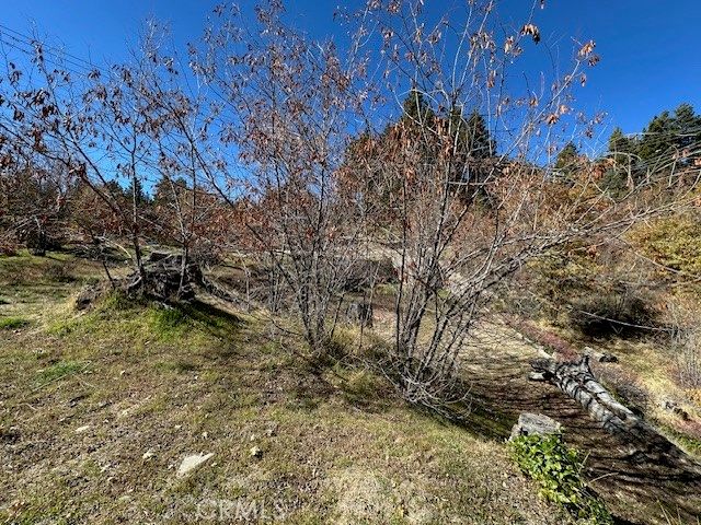 2379 Chicago Drive, Running Springs, CA 92382